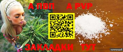 mdpv Гатчина