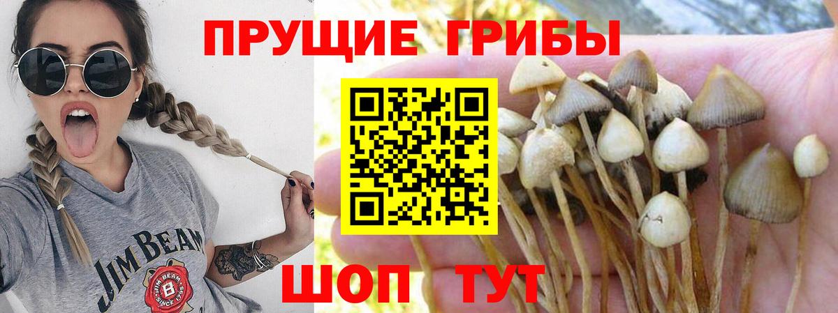 как найти закладки  Вход с VPN  Новочебоксарск  Псилоцибиновые грибы ЛСД 